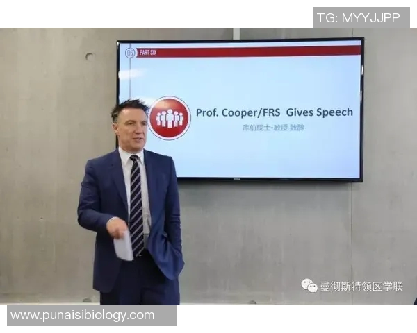 英超球队建制：英超俱乐部的组织结构和管理层