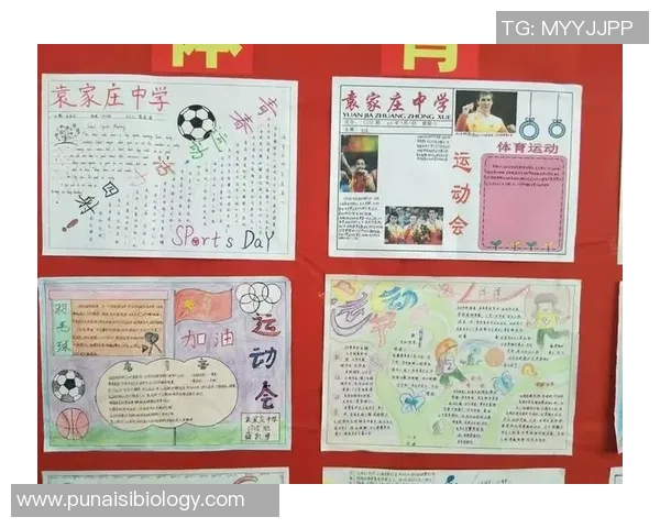飞盘飞扬北京队如何在极限运动会中实现突破与辉煌