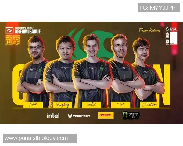 WE战队在DOTA2赛场的经验革新与战术演变探讨 WE战队在DOTA2赛场的经验革新与战术演变探讨